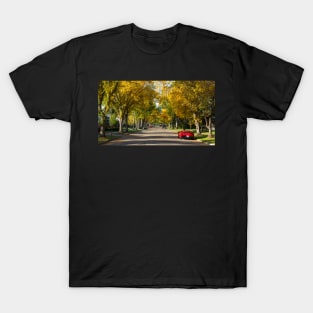 The Leaves are Changing T-Shirt